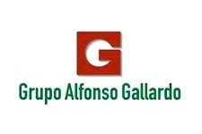 grupoalfonso